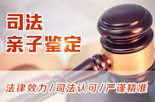 通化司法亲子鉴定资料和流程,通化司法亲子鉴定费用大概多少